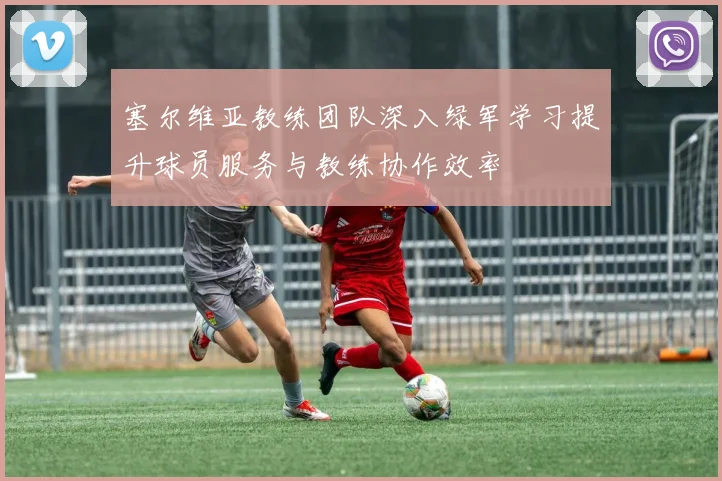 塞尔维亚教练团队深入绿军学习提升球员服务与教练协作效率